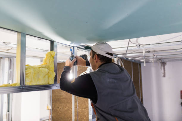 Best Types of Insulation in Lan, MI