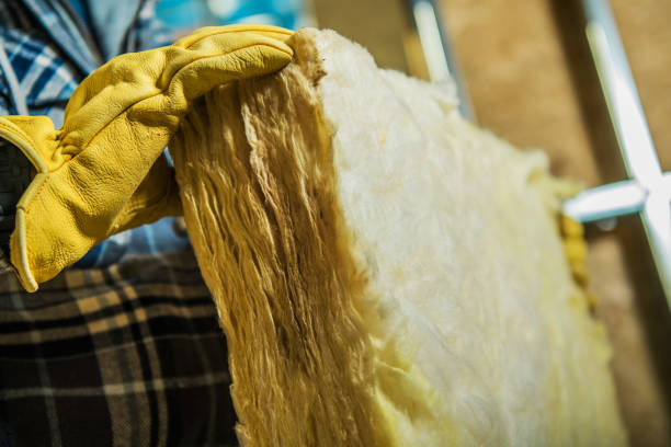 Best Residential Insulation in Lan, MI